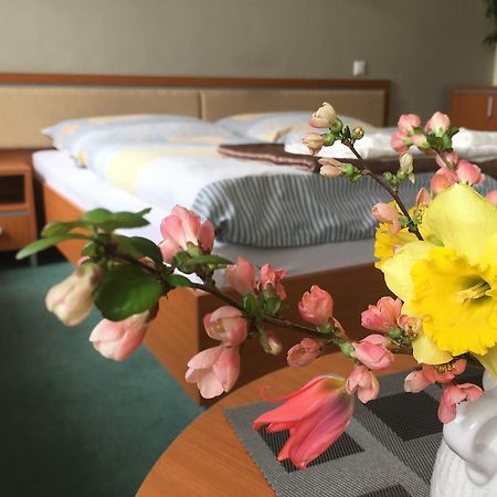Apartman Darmon ピエシュチャニ エクステリア 写真