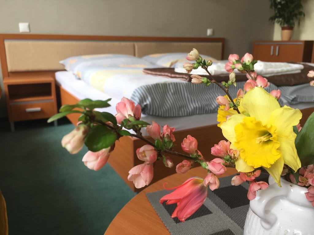 Apartman Darmon ピエシュチャニ エクステリア 写真